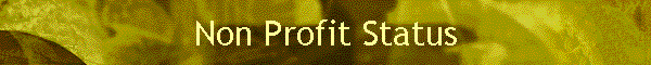 Non Profit Status