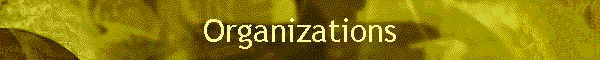 Organizations